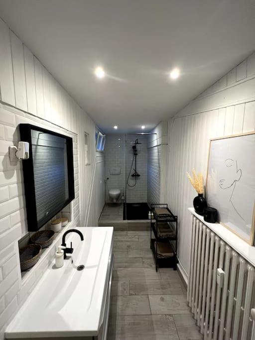 Superbe Duplex En Hyper Centre Apartment Saint-Etienne  Bagian luar foto